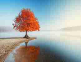 如﻿何‌制﻿作‌外‌链‌